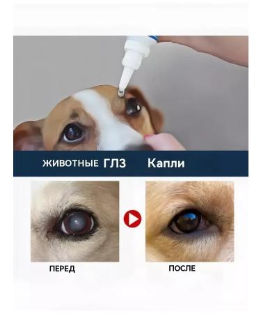 Lotion for the eyes of dogs and cats from lacrimal paths 10 ml - Buy Online on GoSupps.com
