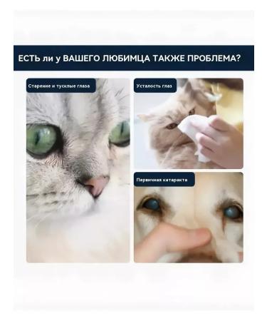 Lotion for the eyes of dogs and cats from lacrimal paths 10 ml - Buy Online on GoSupps.com