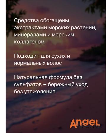 Angel Professional Road set "Salon with you" for dry and normal hair - Buy Online on GoSupps.com