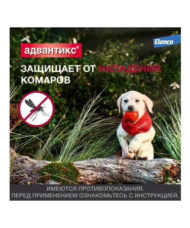 Elanco Advantics for puppies and dogs  - Buy Online on GoSupps.com