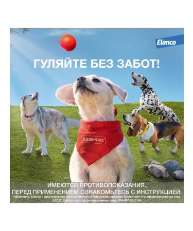 Elanco Advantics for puppies and dogs  - Buy Online on GoSupps.com