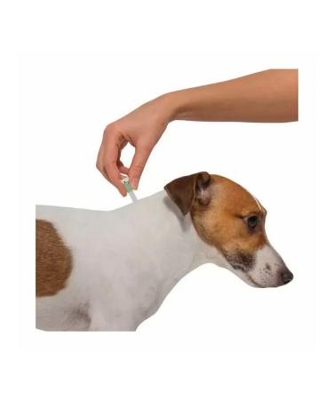 Elanco Advantics for puppies and dogs  - Buy Online on GoSupps.com