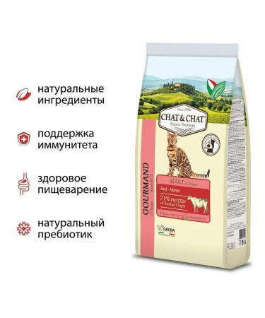 Chat & Chat Dry food with beef for adult cats 14 kg - Buy Online on GoSupps.com