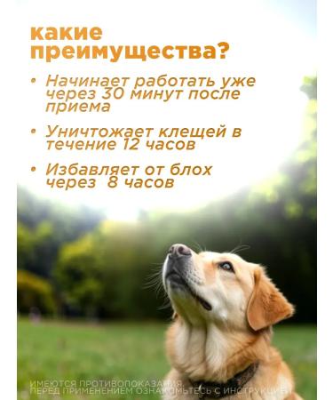 Tixfli 1400 mg fleas and dog ticks tablets - Buy Online on GoSupps.com