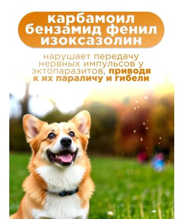 Tixfli 1400 mg fleas and dog ticks tablets - Buy Online on GoSupps.com