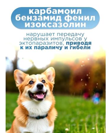 Tixfli 112.5 mg fleas and dog ticks tablets - Buy Online on GoSupps.com