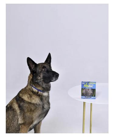 AVZ Fitoca collar from fleas and ticks for medium dogs - Buy Online on GoSupps.com