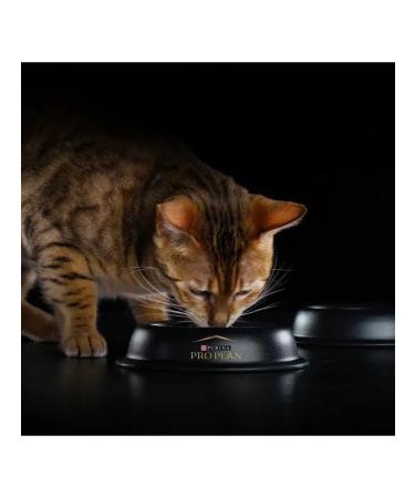 PRO PLAN Dry food for sterilized cats duck and liver 3 kg - Buy Online on GoSupps.com