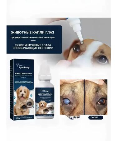 Eye drops for cats and dogs after injuries 10 ml - Buy Online on GoSupps.com