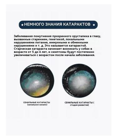 Eye drops for cats and dogs after injuries 10 ml - Buy Online on GoSupps.com