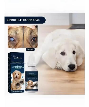 Eye drops for cats and dogs after injuries 10 ml - Buy Online on GoSupps.com