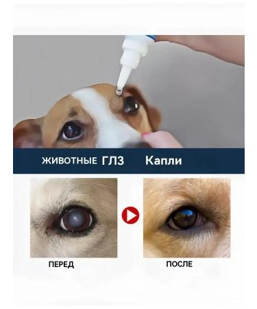 Eye drops for cats and dogs Cataract prevention 10 ml - Buy Online on GoSupps.com