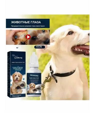 Eye drops for cats and dogs Cataract prevention 10 ml - Buy Online on GoSupps.com