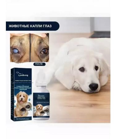 Eye drops for dogs anti -inflammatory 10 ml - Buy Online on GoSupps.com