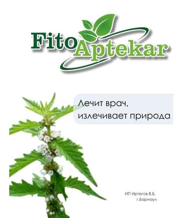 PHYTOAPTHECARIAN Zyuznik European grass 100g - Buy Online on GoSupps.com
