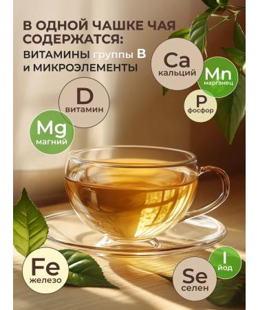 Cozy bowl Savor Ulun Green Leaf Tea 60 gr - Buy Online on GoSupps.com