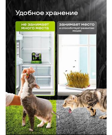 Live 200 Vitamins for cats for immunity - Buy Online on GoSupps.com