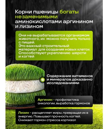 Live 200 Vitamins for cats for immunity - Buy Online on GoSupps.com