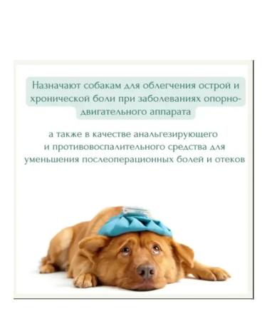 KRKA Ricard 50 mg for dogs 20 tablets - Buy Online on GoSupps.com