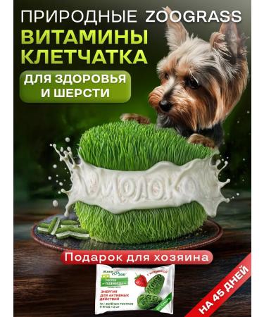 Live 200 Vitamins for dogs for immunity