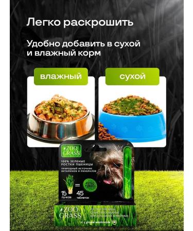 Live 200 Vitamins for dogs for immunity - Buy Online on GoSupps.com