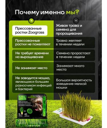 Live 200 Vitamins for dogs for immunity - Buy Online on GoSupps.com