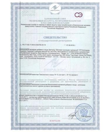 Solgar Echinacea Echinacea Purple 100 pcs. Capsules-1p - Buy Online on GoSupps.com