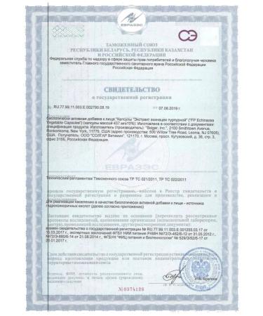 Solgar Echinacea Echinacea Purple 100 pcs. Capsules-1p - Buy Online on GoSupps.com