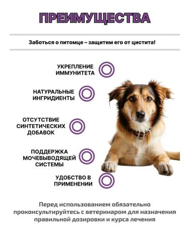 animalsShell Stop cystitis bio for dogs 50 ml