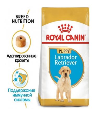 ROYAL CANIN Labrador Puppy Dry Feed for Labrador breed puppies 3 kg - Buy Online on GoSupps.com