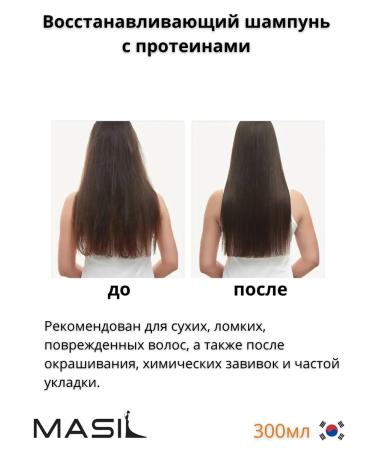 MASIL Restoring shampoo with proteins 300ml - Buy Online on GoSupps.com
