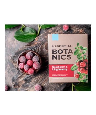 Siberian Health Bear ears and lingonberry - Buy Online on GoSupps.com