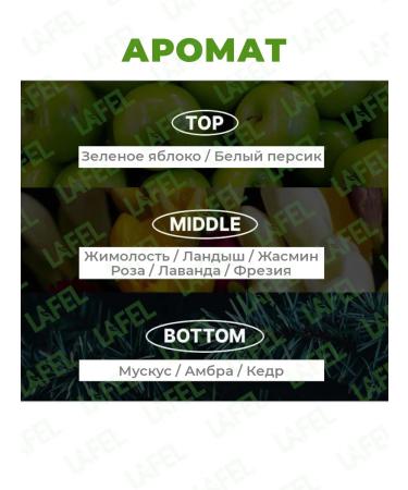 mise en scene Set of shampoo and air conditioning for Damage hair restoration - Buy Online on GoSupps.com