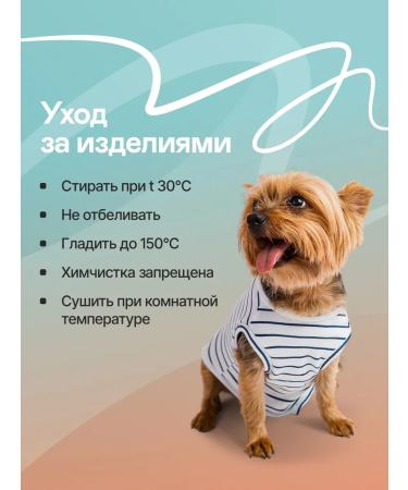 ZooTwoNati Popon postoperative for cats and dogs of small breeds - Buy Online on GoSupps.com
