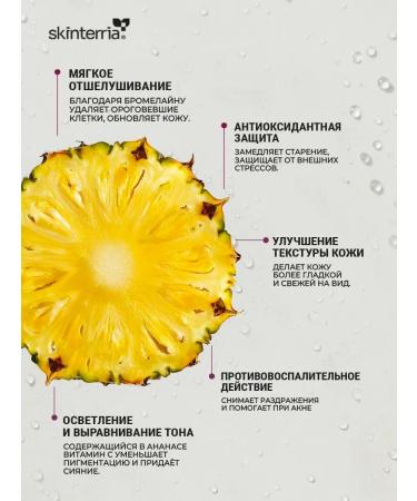 SKINTERRIA Set of micellar water enzyme powder and face foam - Buy Online on GoSupps.com