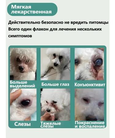 Drops from cataract for dogs cat 20ml - Buy Online on GoSupps.com