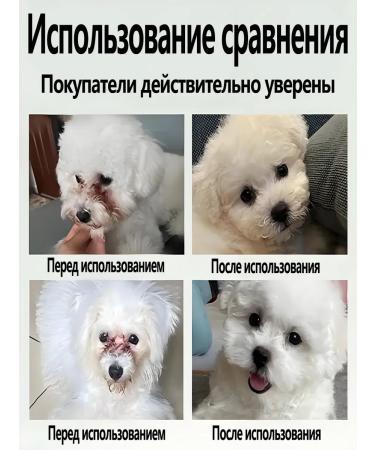 Drops from cataract for dogs cat 20ml - Buy Online on GoSupps.com