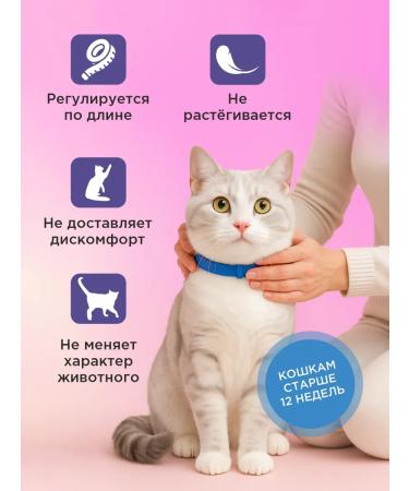 Good Dog&Cat Caling collar No Stress for cats 35cm - Buy Online on GoSupps.com