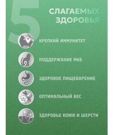 PERFECT FIT Turkey and spirulina for cats 580 g - Buy Online on GoSupps.com