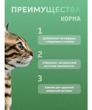 PERFECT FIT Beef and spirulina for cats 1.1 kg - Buy Online on GoSupps.com