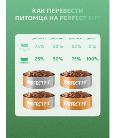 PERFECT FIT Beef and spirulina for cats 1.1 kg - Buy Online on GoSupps.com