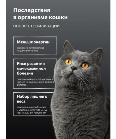 SkogsFRO Dry food for sterilized cats turkey 400 g - Buy Online on GoSupps.com