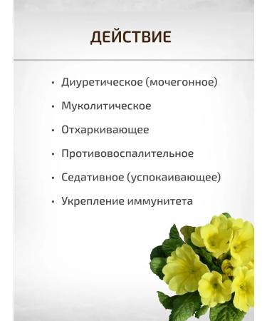 Sage Primary of the grass primrose 2 pcs. Healing herbs - Buy Online on GoSupps.com