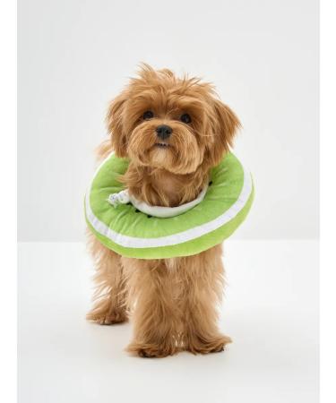 KimCa Protective collar for cats and dogs veterinary - Buy Online on GoSupps.com