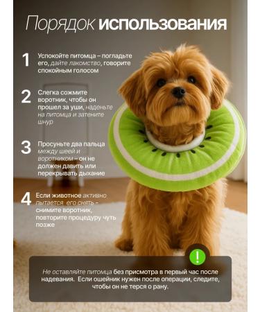 KimCa Protective collar for cats and dogs veterinary - Buy Online on GoSupps.com