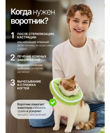 KimCa Protective collar for cats and dogs veterinary - Buy Online on GoSupps.com