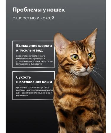 SkogsFRO Dry food for cats for beautiful wool and healthy skin 2kg - Buy Online on GoSupps.com