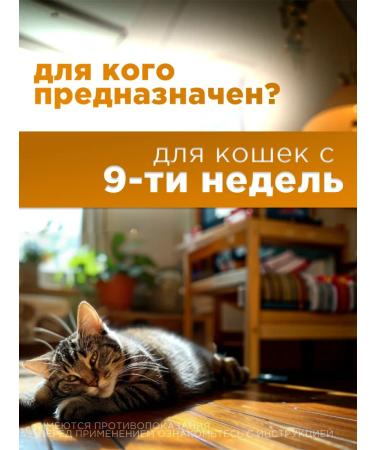 Elanco Drops Cat Lawyer  - Buy Online on GoSupps.com