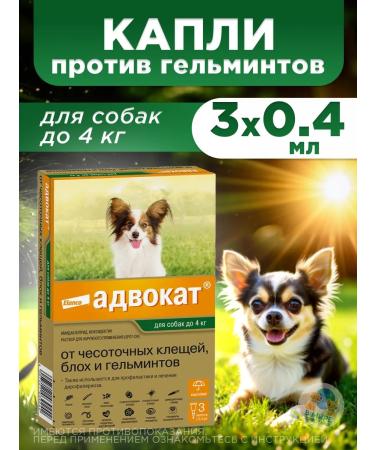 Elanco Drops a lawyer for dogs up to 4 kg