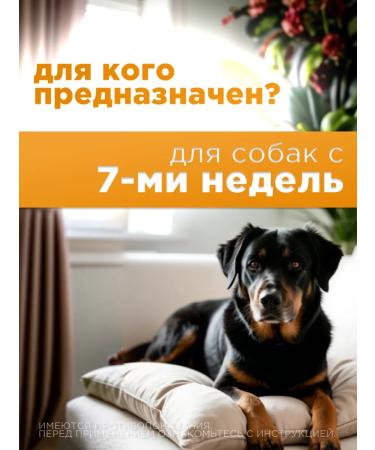 Elanco Drops a lawyer for dogs up to 4 kg - Buy Online on GoSupps.com